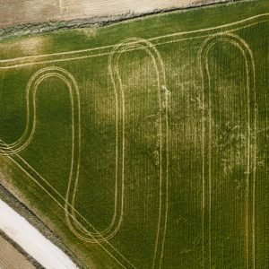 Daily Track Rentals